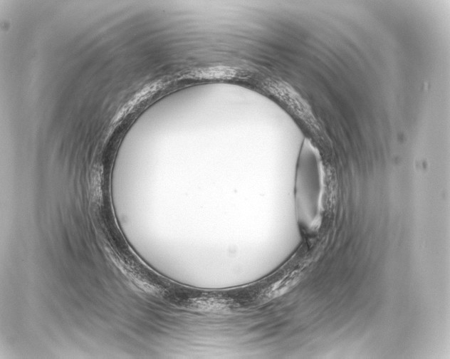 X0000087630300200705181507