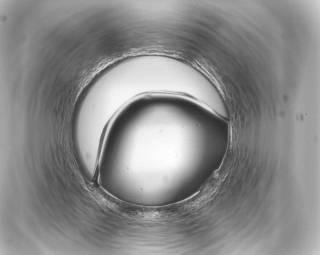 X0000087630301200705181507