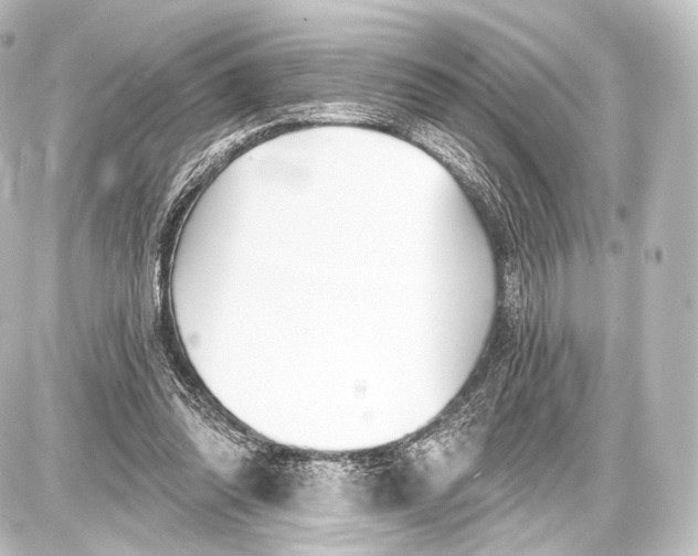 X0000087630302200705181507