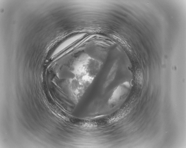 X0000087630303200705181507