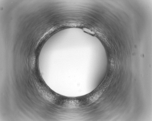 X0000087630304200705181507