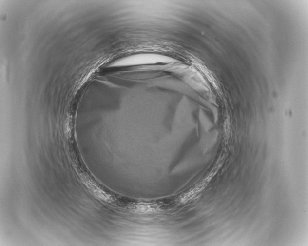 X0000087630305200705181507