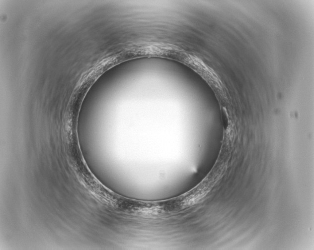 X0000087630306200705181507