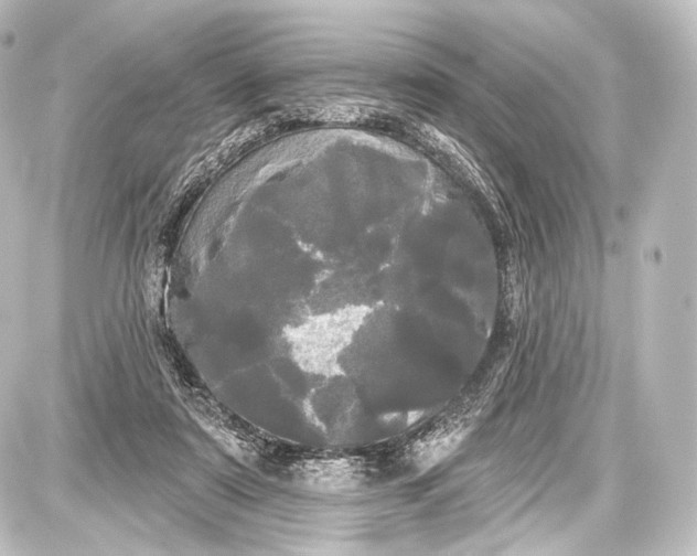 X0000087630307200705181507