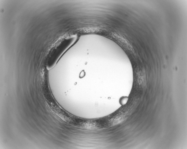 X0000087630308200705181507