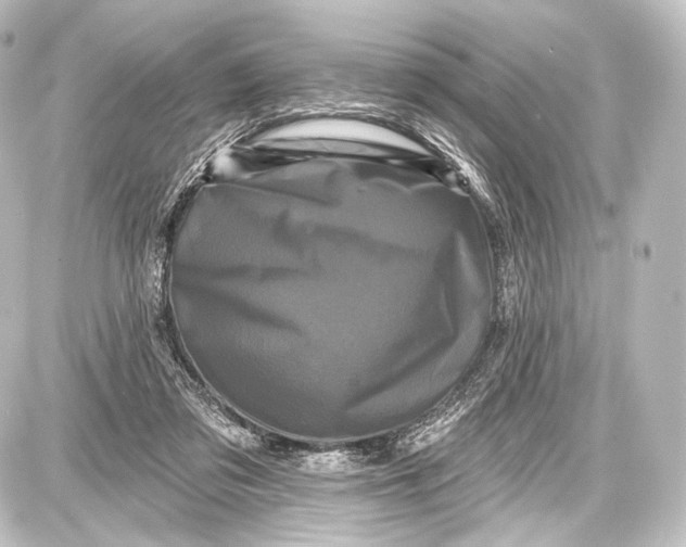 X0000087630309200705181507