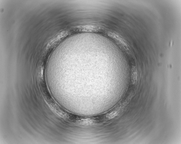 X0000087630310200705181507