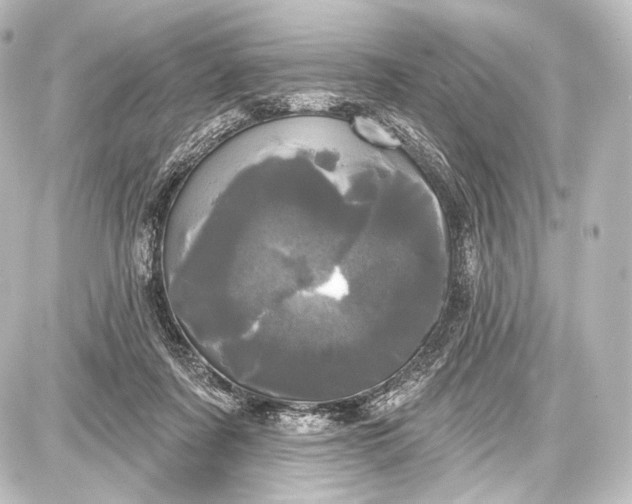 X0000087630311200705181507