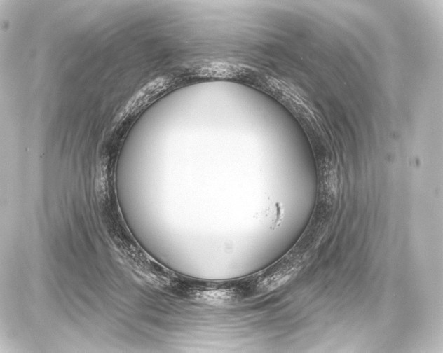 X0000087630312200705181507