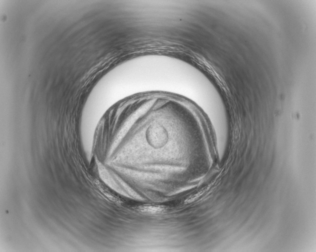 X0000087630313200705181507