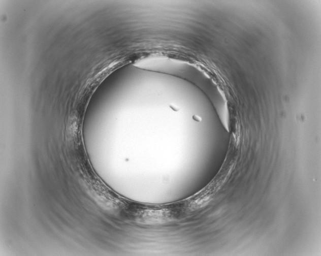 X0000087630314200705181507