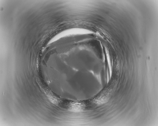 X0000087630315200705181507