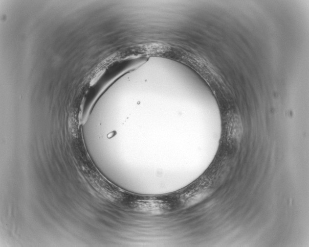 X0000087630316200705181507