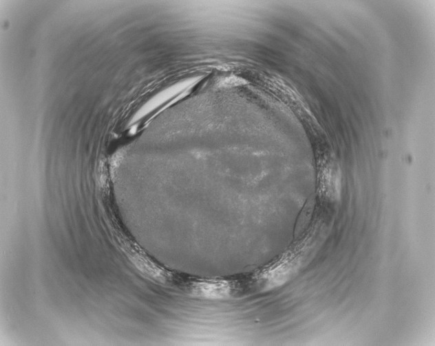 X0000087630317200705181507