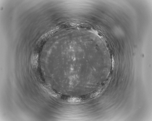 X0000087630319200705181507