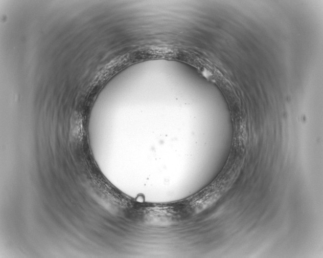 X0000087630320200705181507