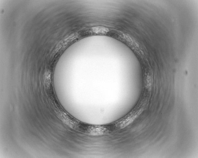 X0000087630321200705181507