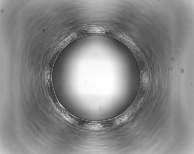 X0000087630322200705181507