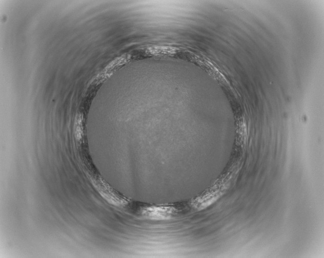 X0000087630323200705181507