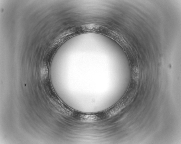 X0000087630324200705181507