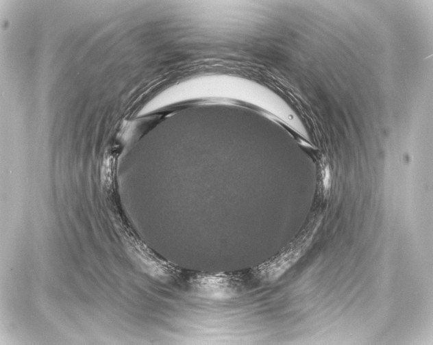 X0000087630325200705181507