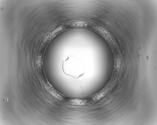 X0000087630326200705181507