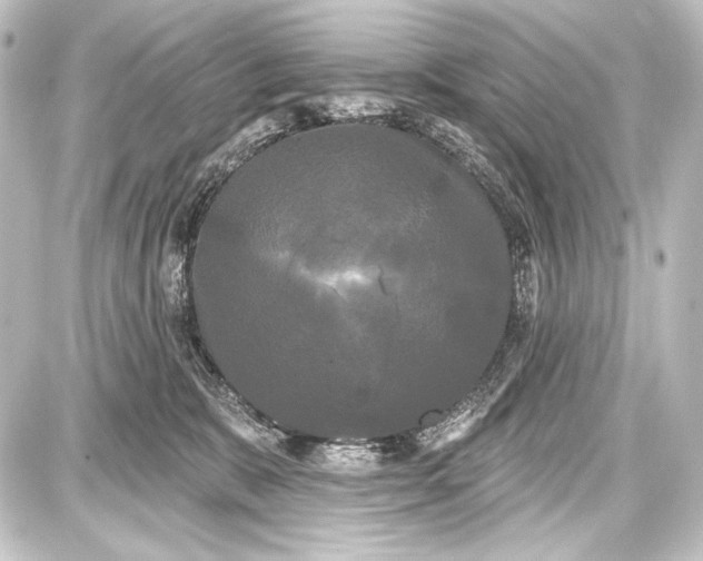 X0000087630327200705181507