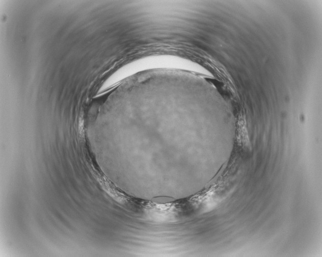 X0000087630329200705181507