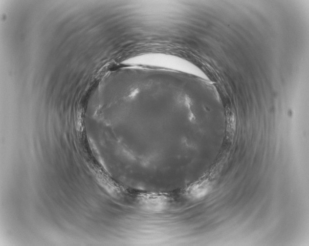 X0000087630331200705181507