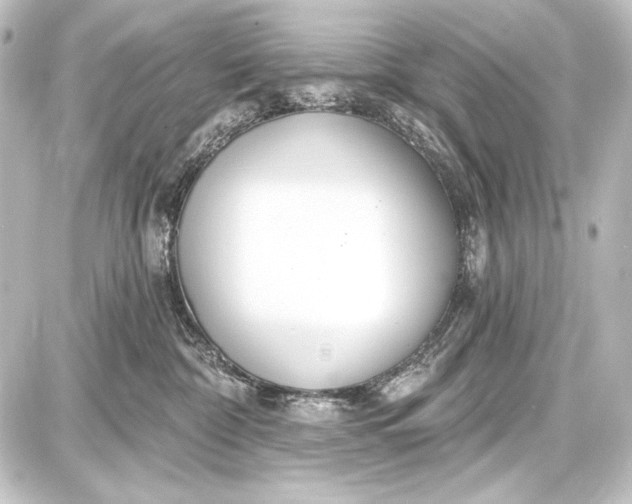 X0000087630332200705181507