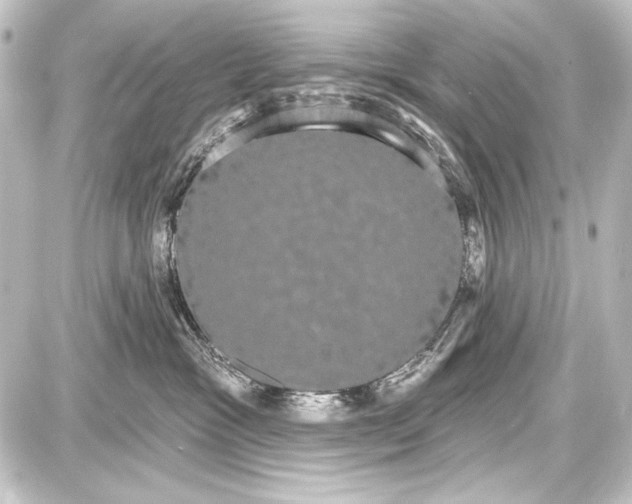 X0000087630333200705181507