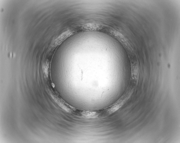 X0000087630334200705181507