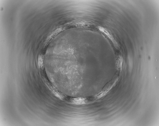 X0000087630335200705181506