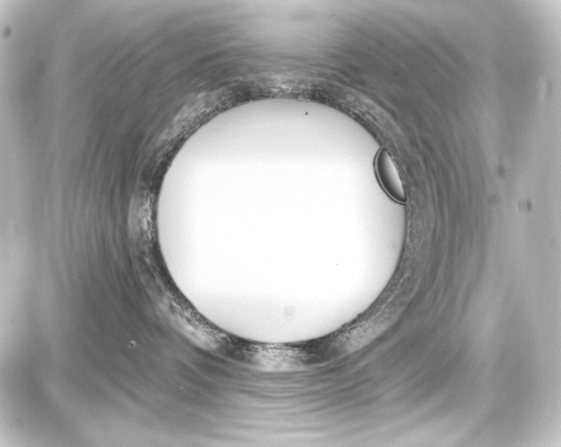 X0000087630336200705181506