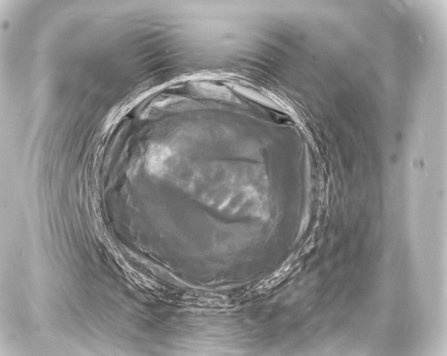 X0000087630337200705181506