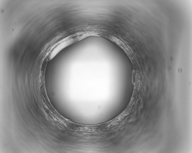 X0000087630338200705181506