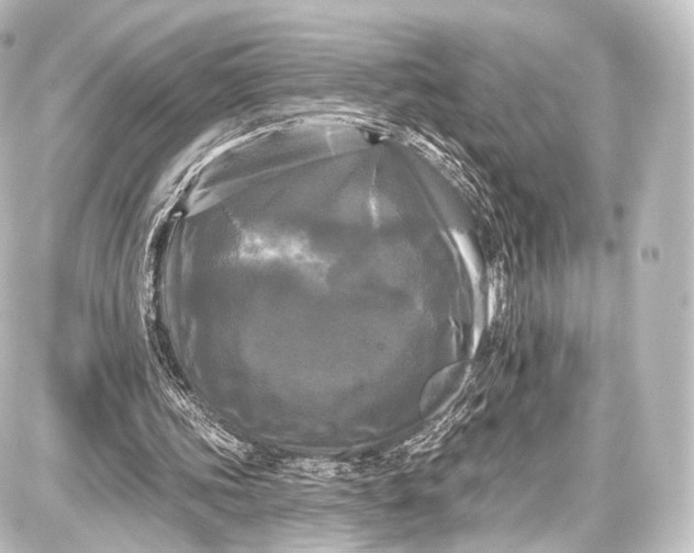 X0000087630339200705181506