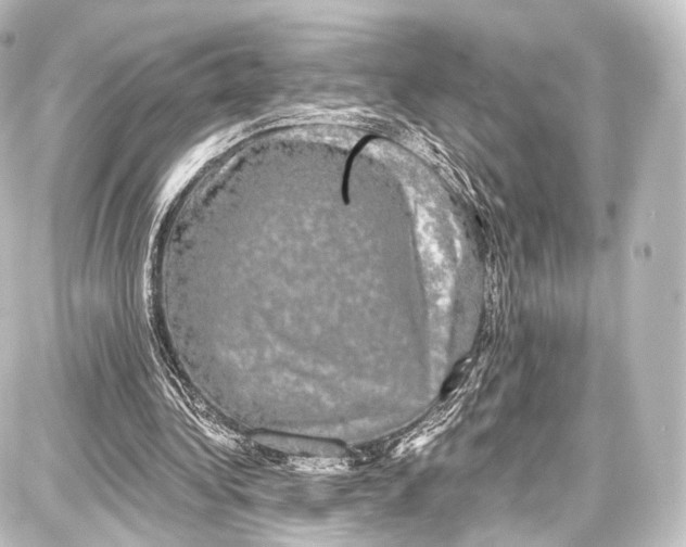 X0000087630340200705181506