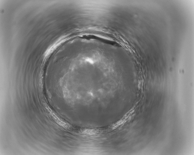 X0000087630341200705181506