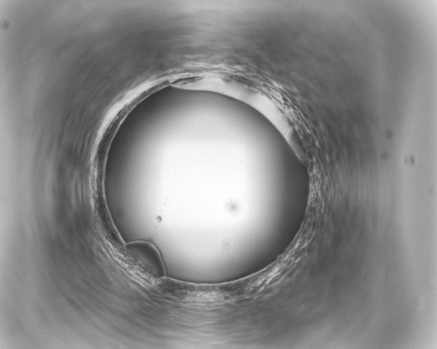 X0000087630342200705181506