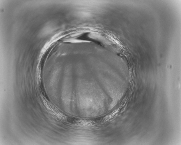 X0000087630343200705181506