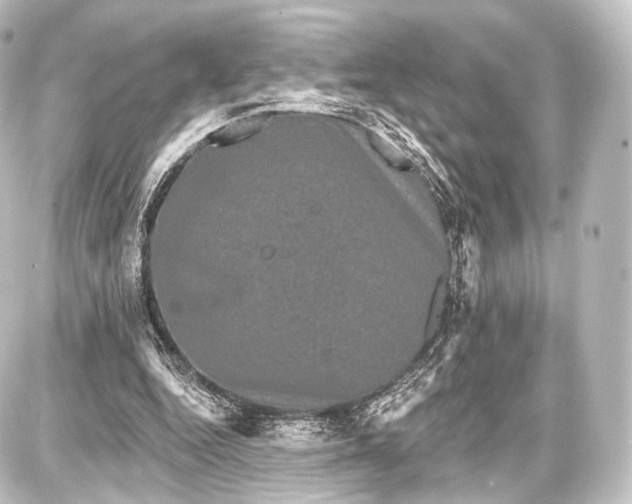 X0000087630344200705181506