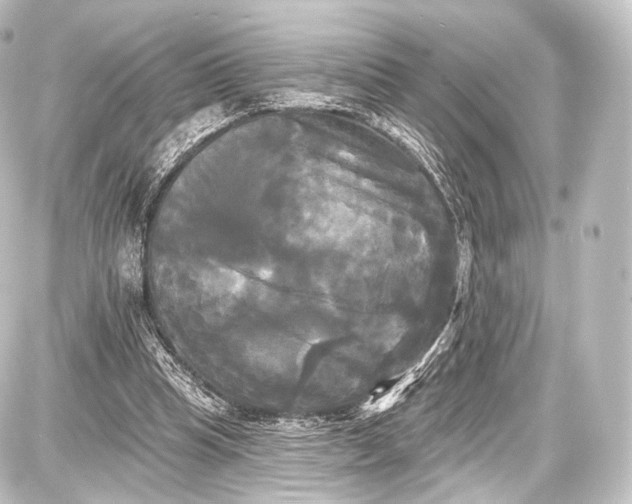 X0000087630345200705181506