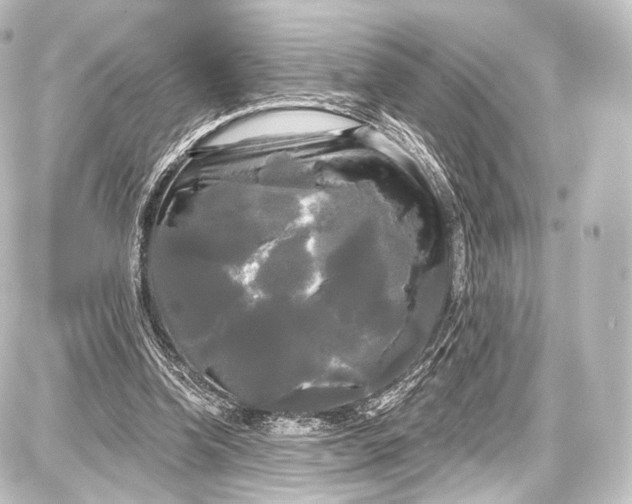 X0000087630346200705181506