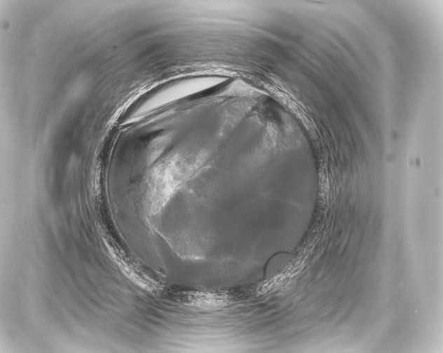 X0000087630347200705181506