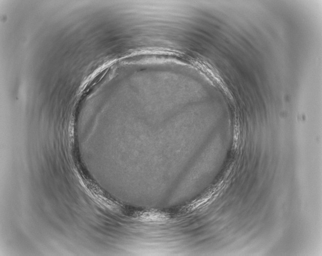 X0000087630348200705181506