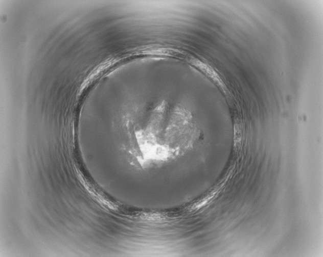 X0000087630349200705181506