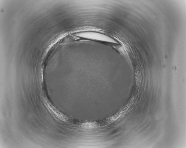 X0000087630350200705181506