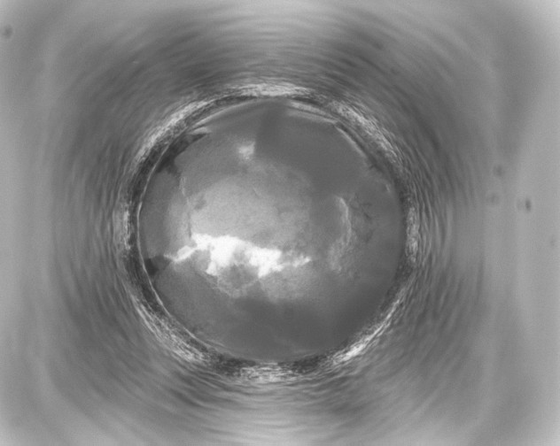 X0000087630351200705181506