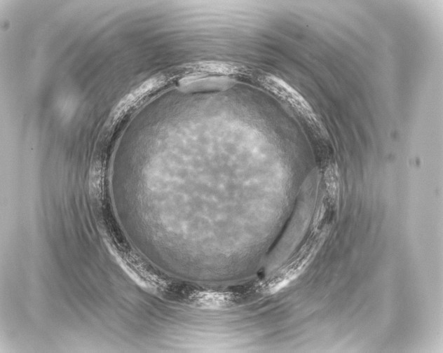 X0000087630352200705181506